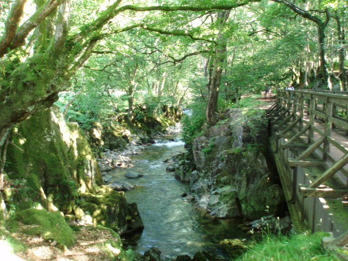 River Esk River Esk